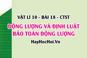 Động lượng là gì? Công thức tính động lượng và Định luật bảo toàn động lượng - Vật lí 10 bài 18 CTST